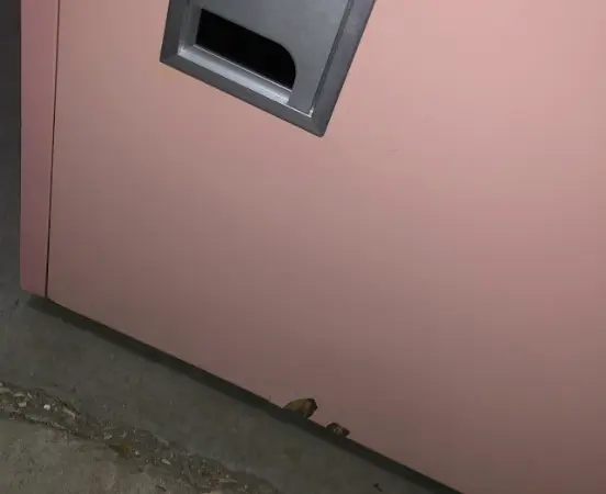 Cabine acoustique SBS Stand-up Procyon Rose - OCCASION – Image 5